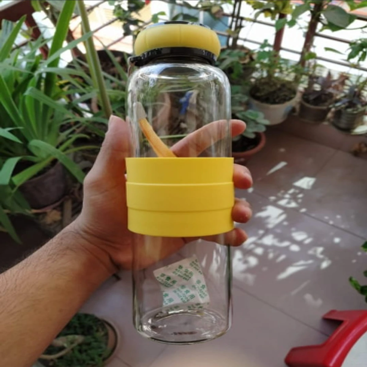 Sports Glass Water Bottle